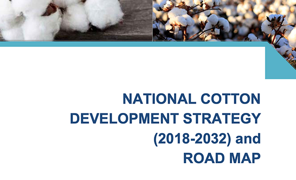 National Cotton Development Strategy