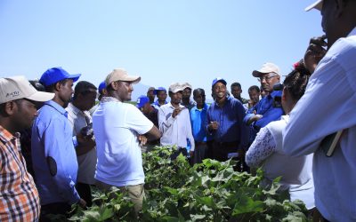 Cotton Field-day Completed Successfully