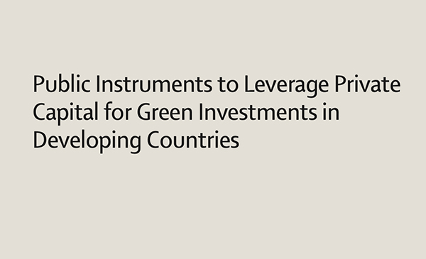 Public Instruments to Leverage Private Capital for Green Investments in Developing Countries