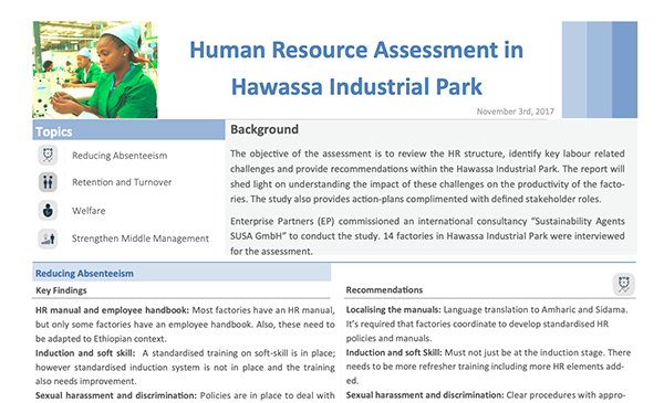 Human resource Assessment in Hawassa Industrial Park
