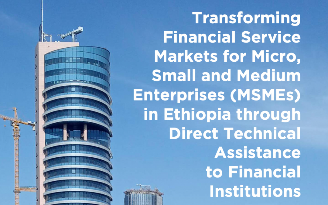 Transforming Financial Service Markets for Micro, Small and Medium Enterprises (MSMEs) in Ethiopia through Direct Technical Assistance to Financial Institutions The Case of Enterprise Partners