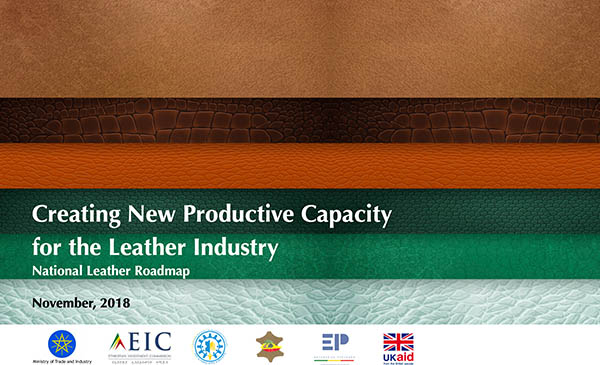 Creating New Productive Capacity for the Leather Industry National Leather Roadmap
